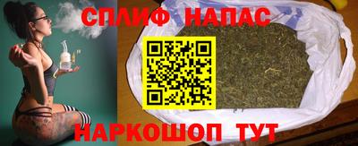 гидра Будённовск