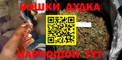 гидра Будённовск